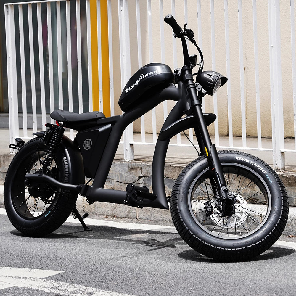 Mangosteen FT02 EEC Chopper Bike