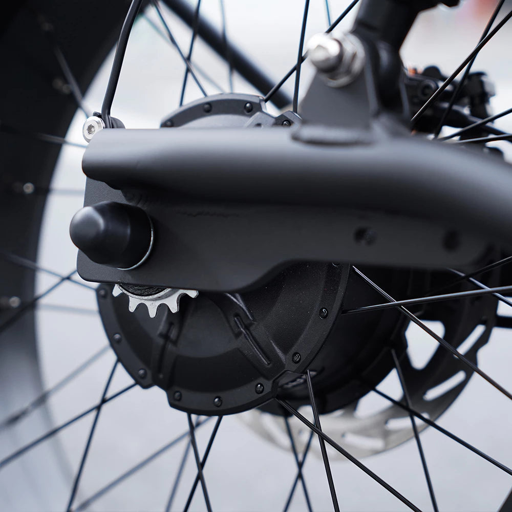 Vélo chopper Mangosteen FT02 EEC