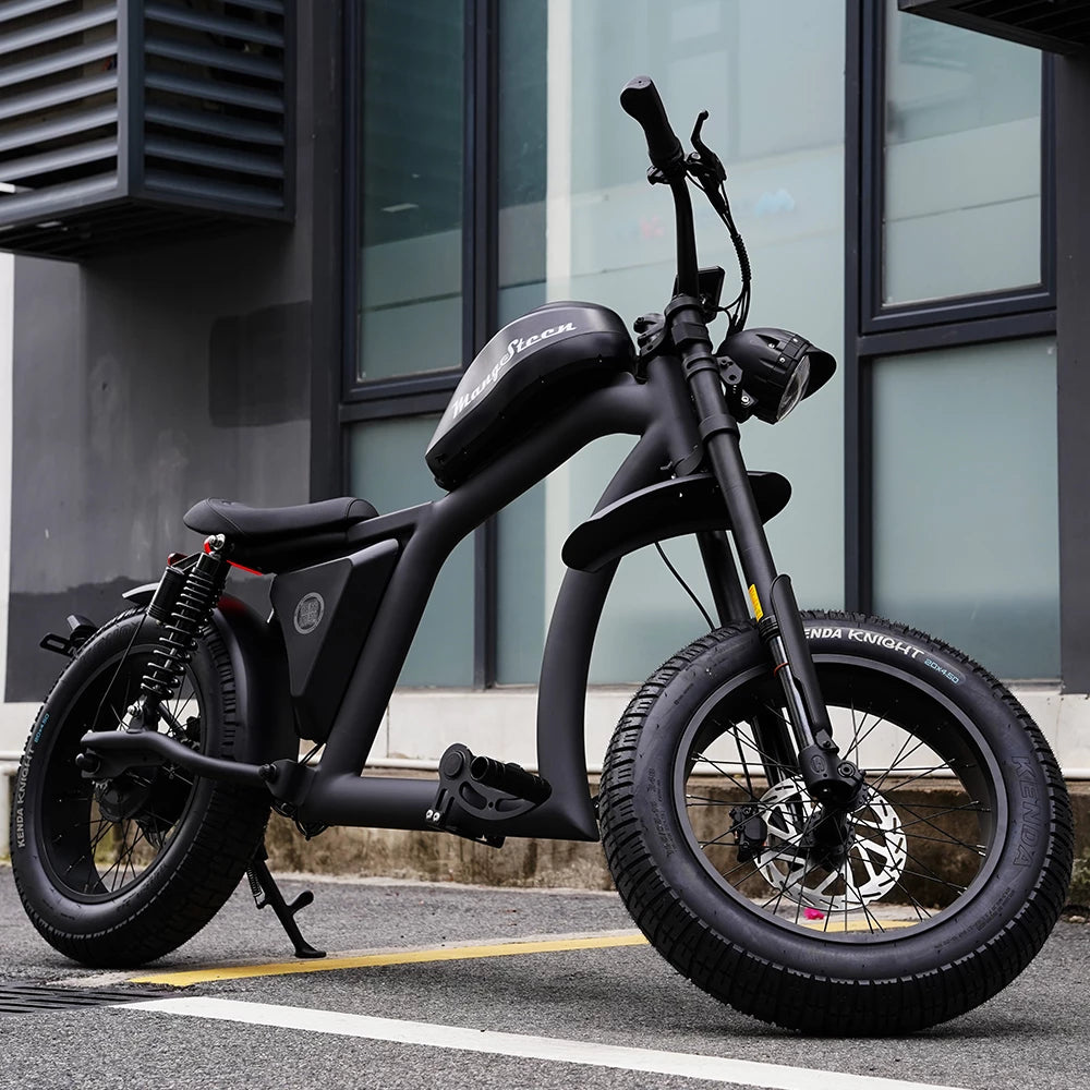 Mangosteen FT02 EEC Chopper Bike