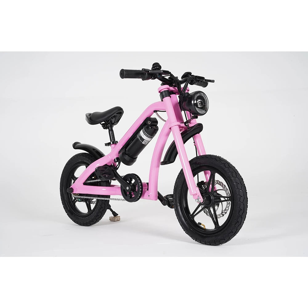 Mangosteen Baby Ebike