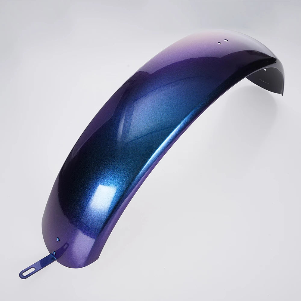 FT02 Mudguard - Extended