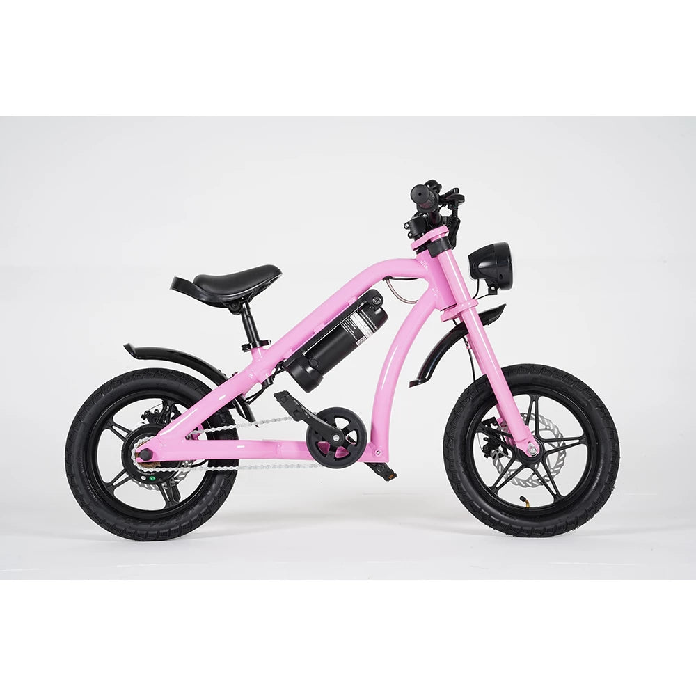 Mangosteen Baby Ebike