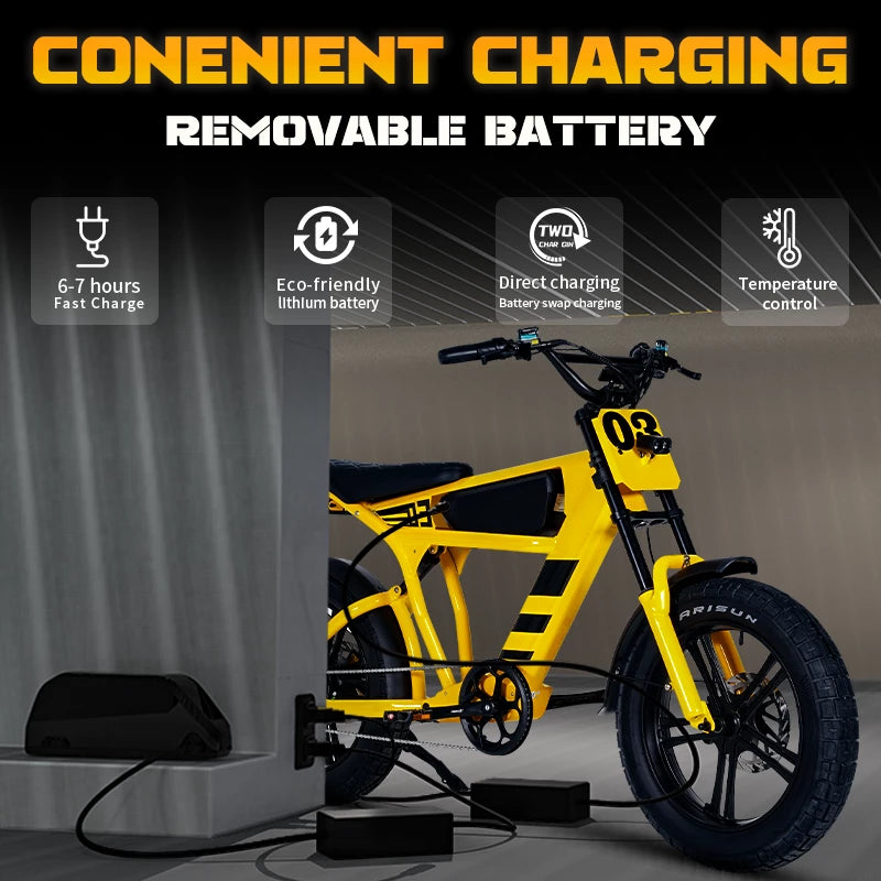 Mangosteen FT03 Elektrofahrrad für Erwachsene