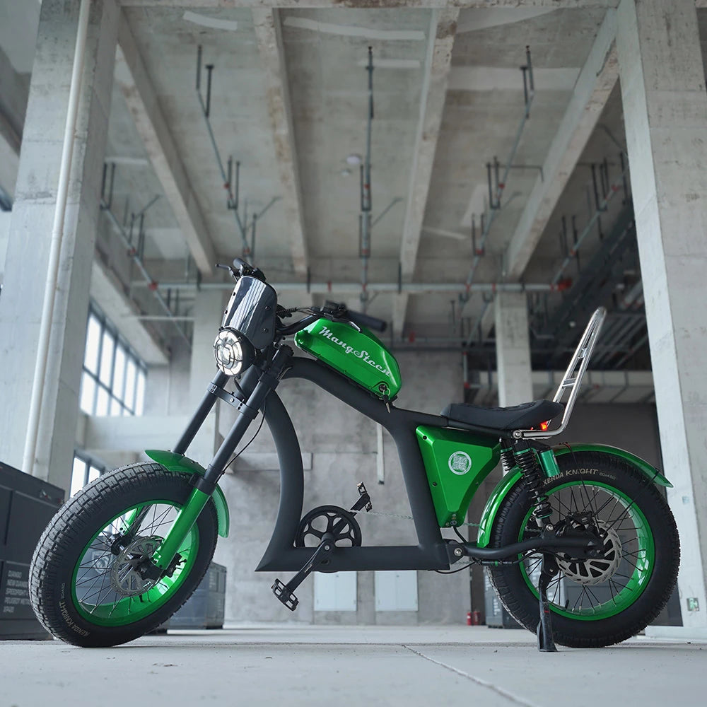 Mangosteen Chopper Electric Bike FT02 Ebike Best for You