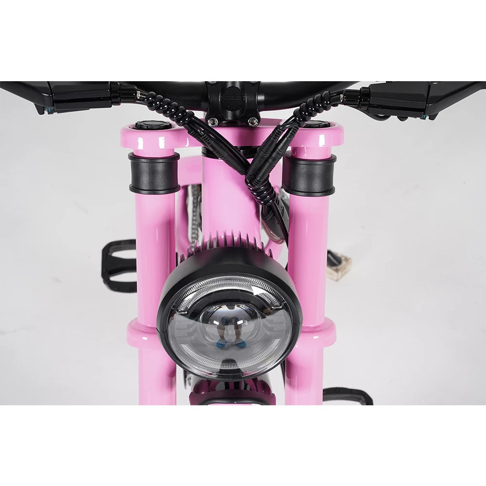 Mangosteen Baby Ebike