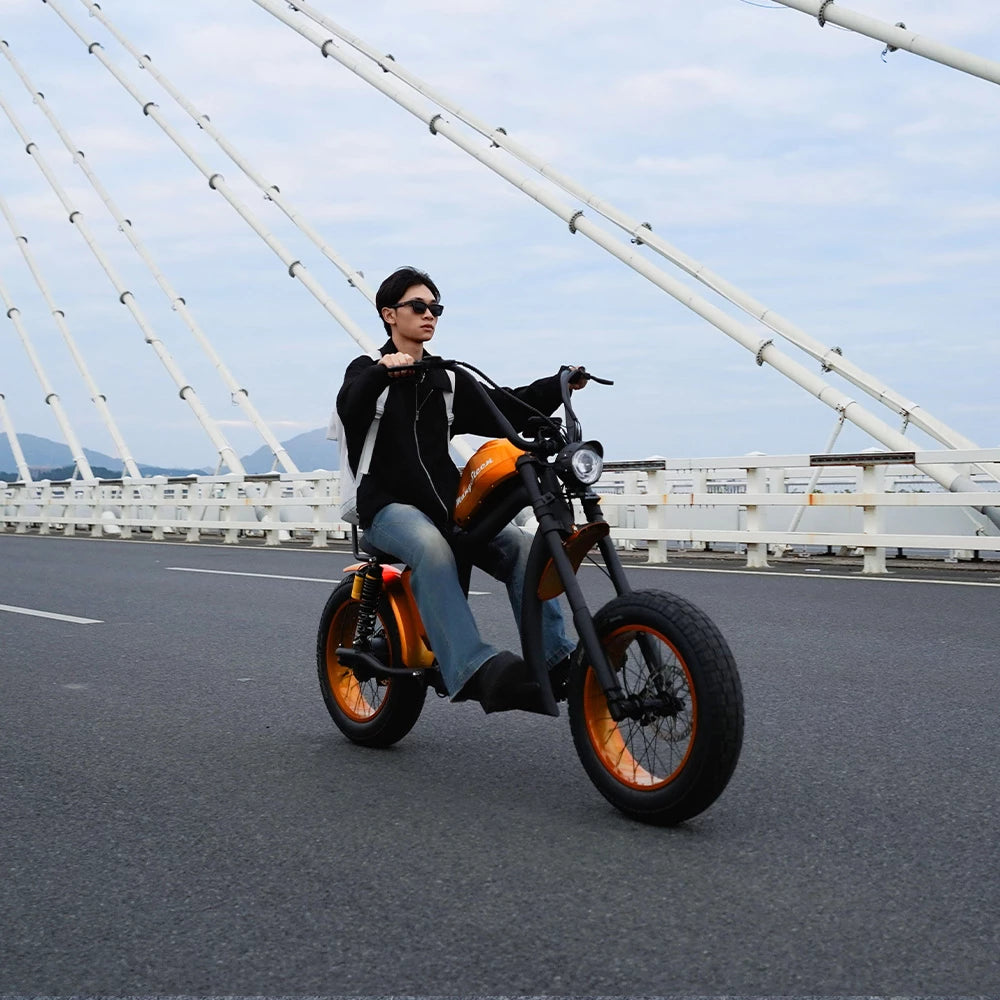 Mangosteen Chopper Electric Bike FT02 Ebike Best for You
