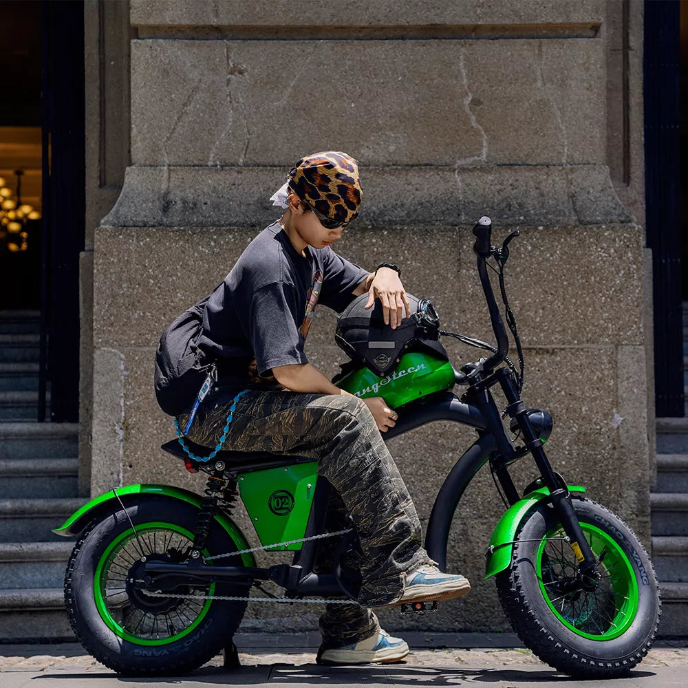 Mangosteen FT02 Mini Ebike