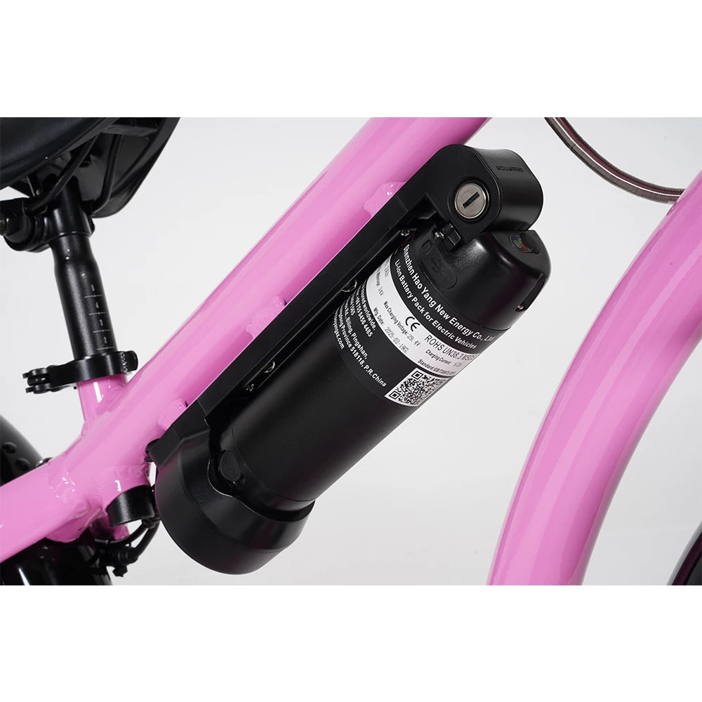 Mangosteen Baby Ebike