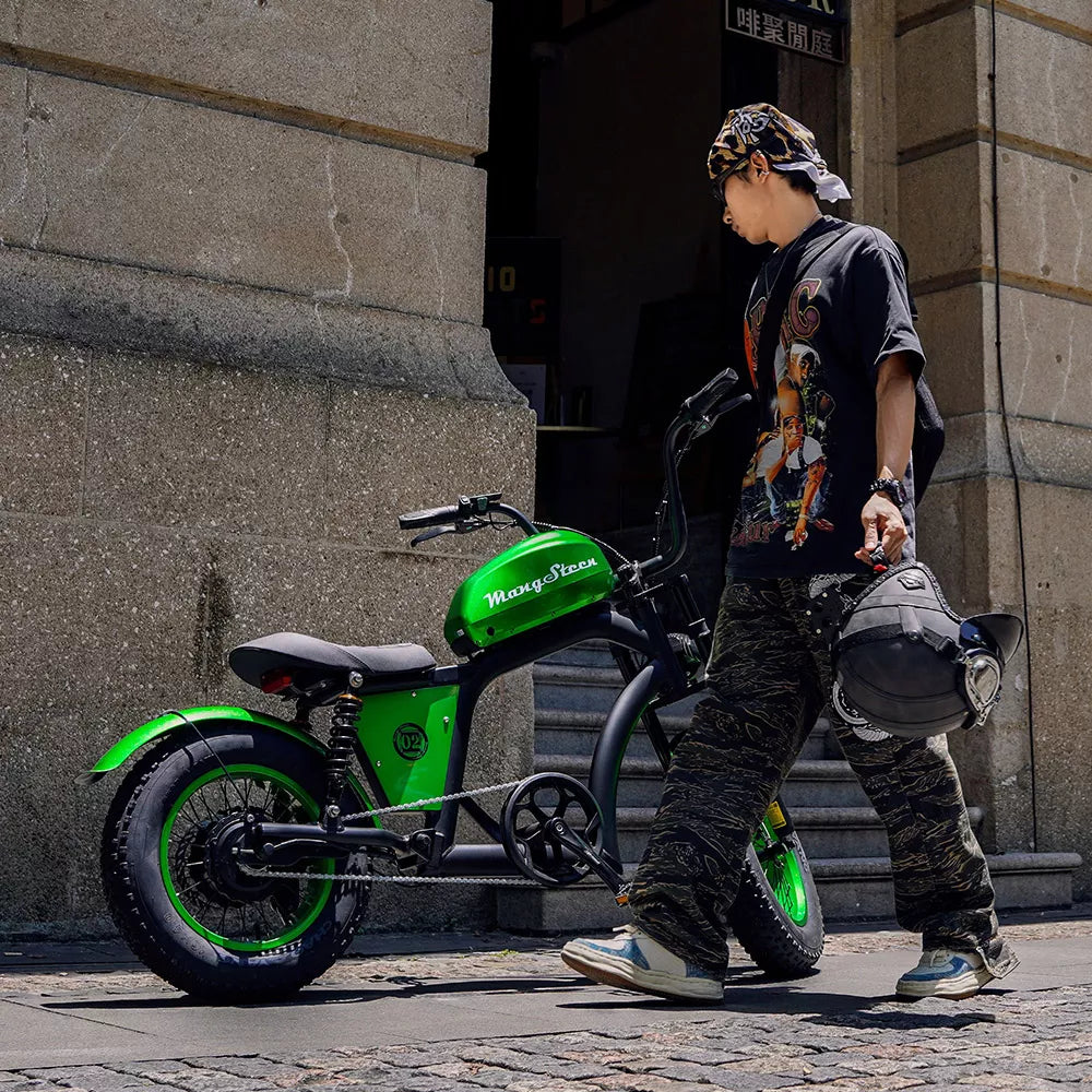 Mangosteen FT02 Mini-E-Bike