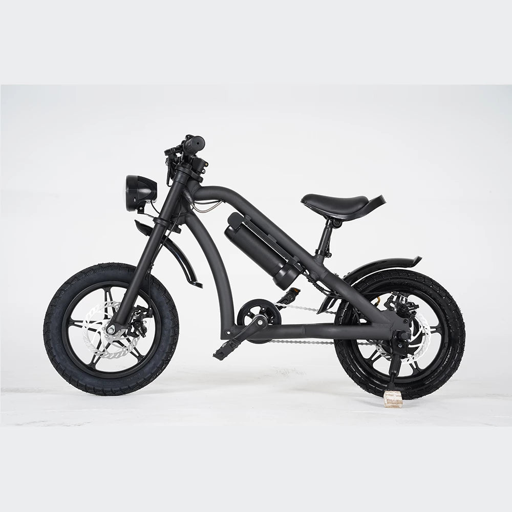 Mangosteen Baby Ebike