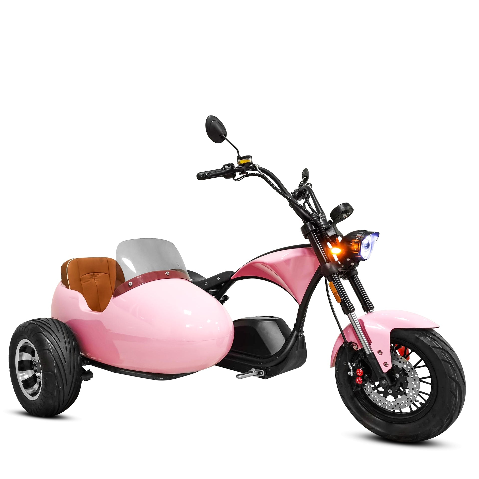 Mangosteen Scooter Sidecar(Not Include Scooter)for M1P