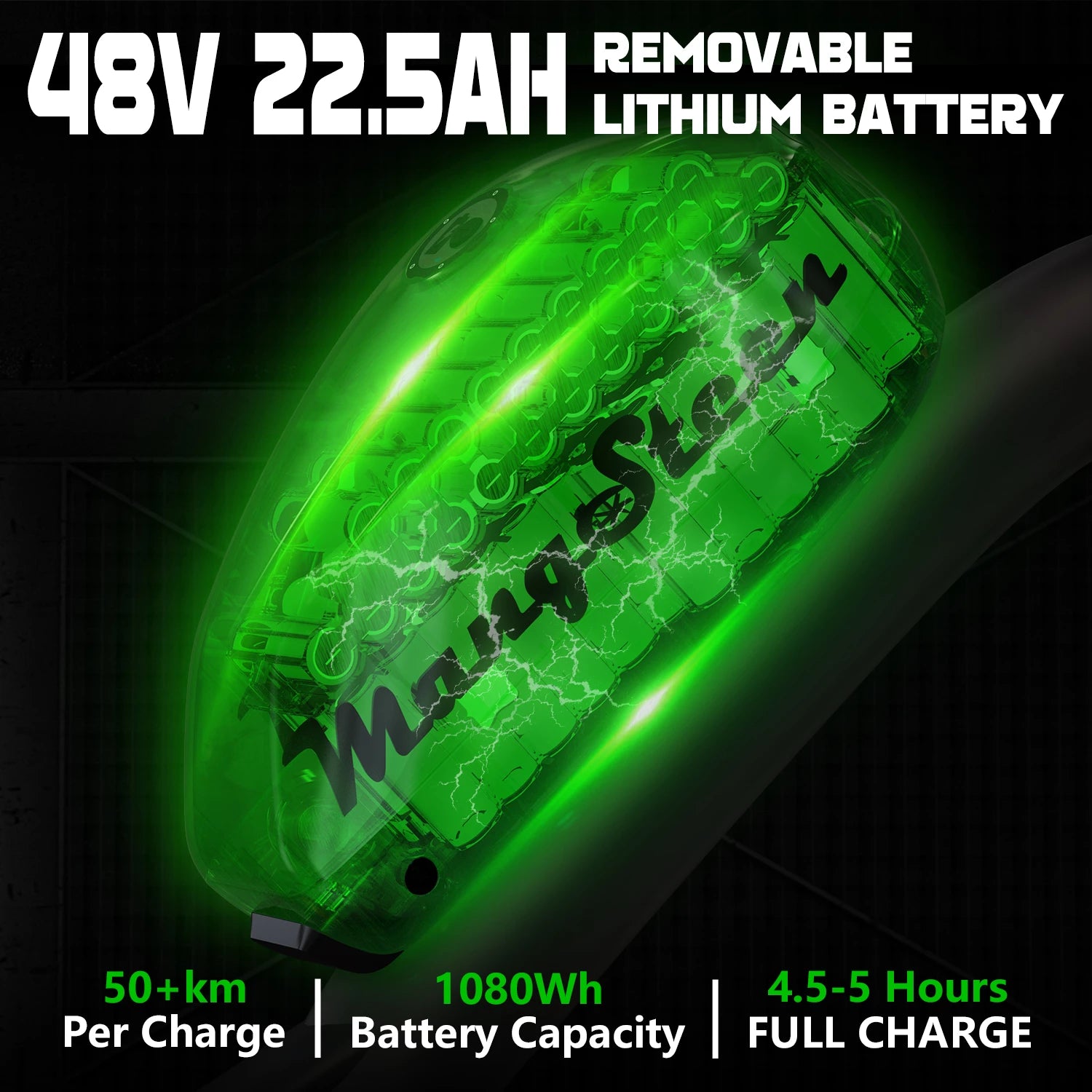 Mangosteen FT02 EEC Chopper Bike