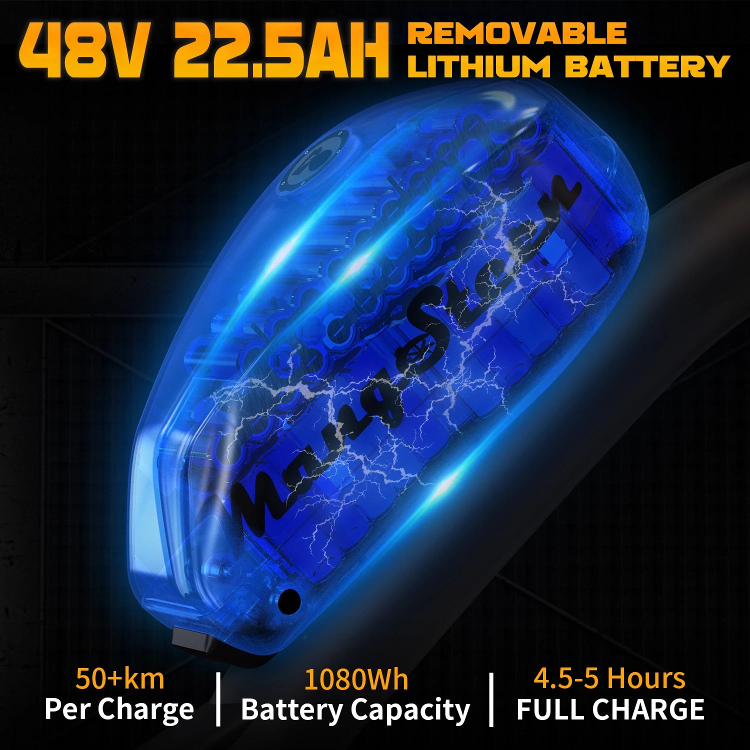 Mangosteen Chopper Electric Bike FT02 Ebike Best for You