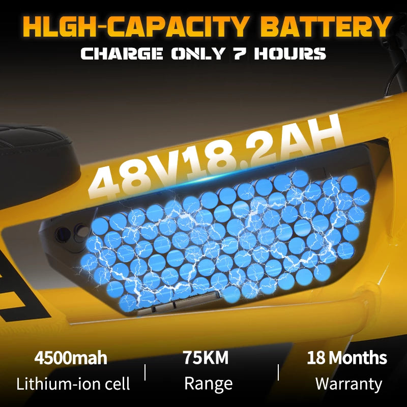 Mangosteen FT03 Elektrofahrrad für Erwachsene