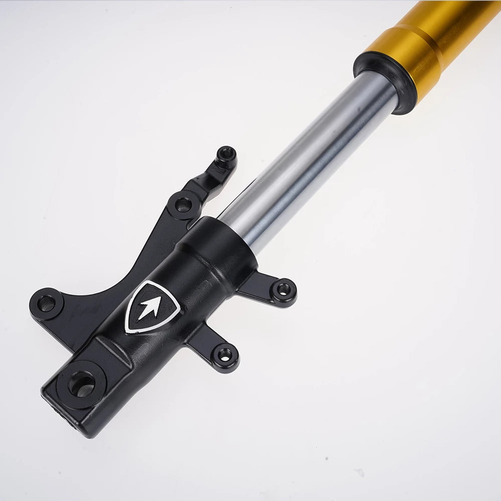 Mangosteen Front shock absorber