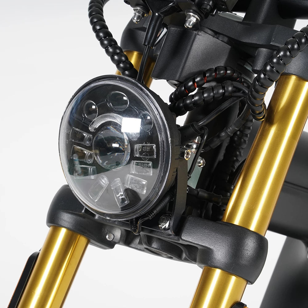 Mangosteen Electric Motorcycle Citycoco Scooter M8S