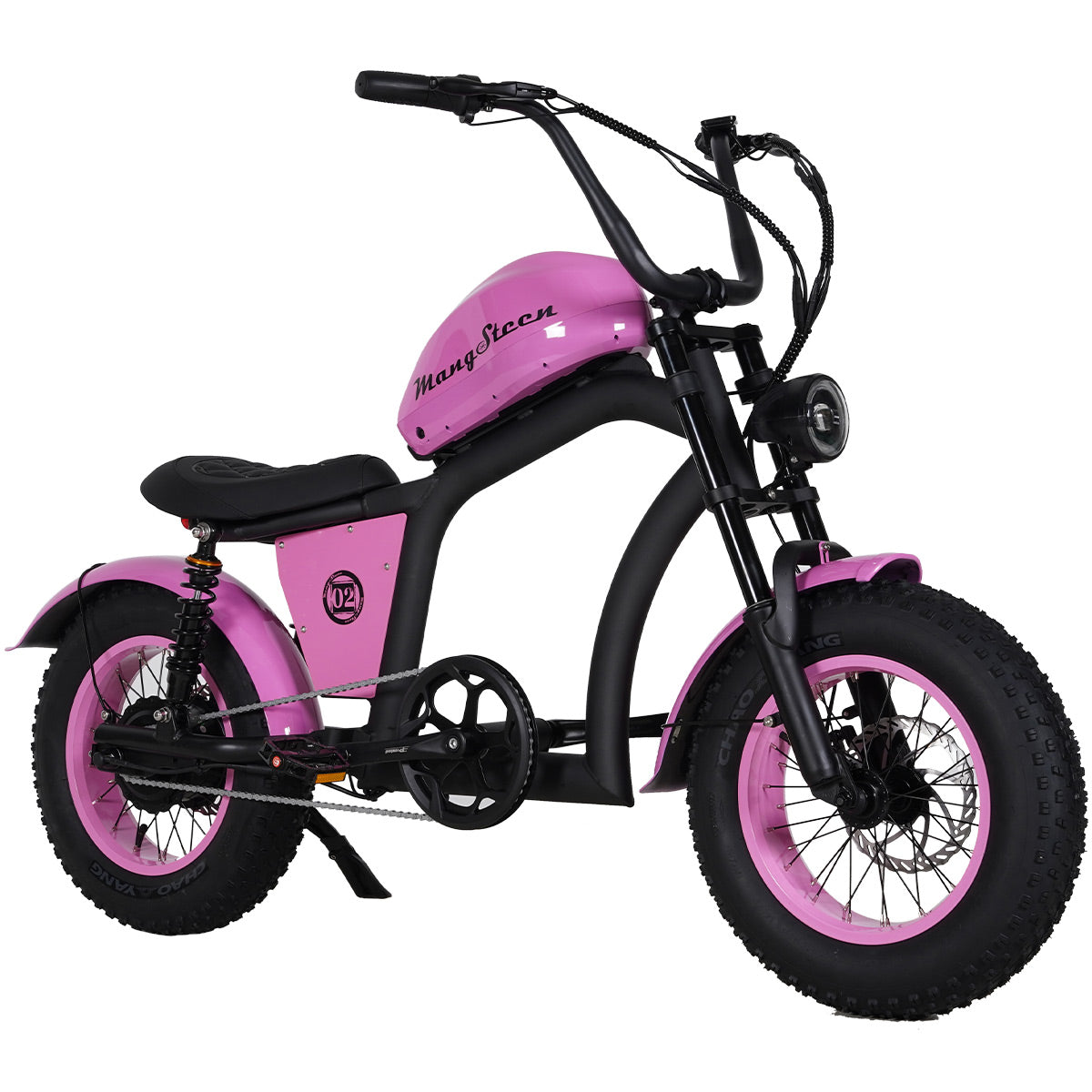 Mangosteen FT02 Mini-E-Bike