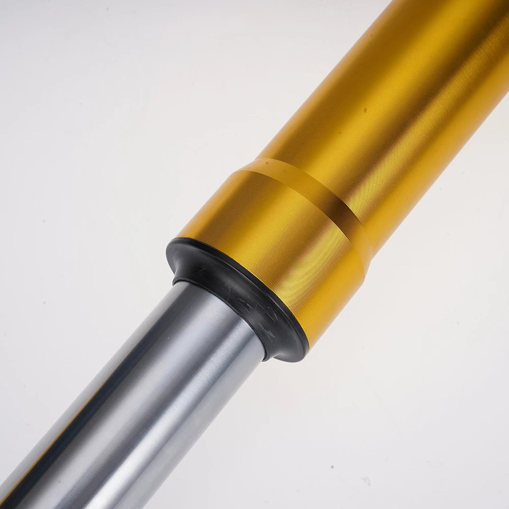 Mangosteen Front shock absorber