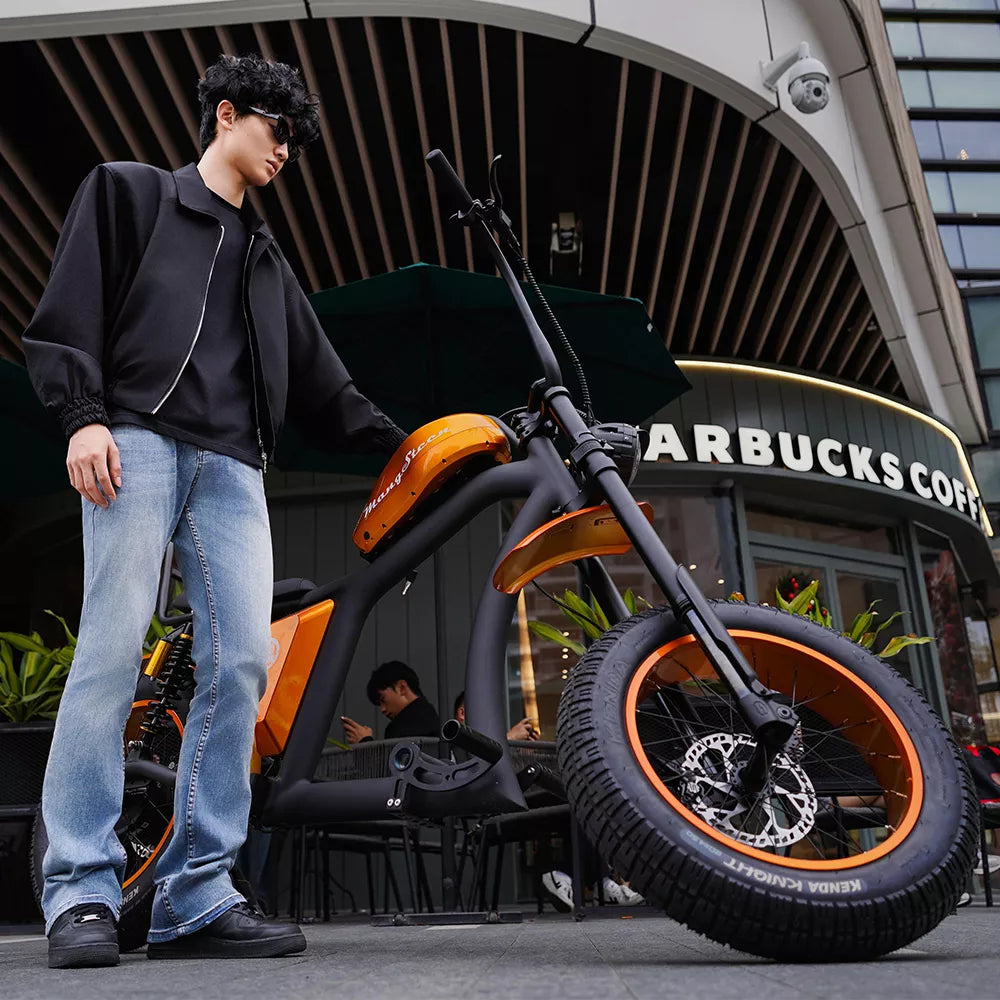 Mangosteen Chopper Electric Bike FT02 Ebike Best for You