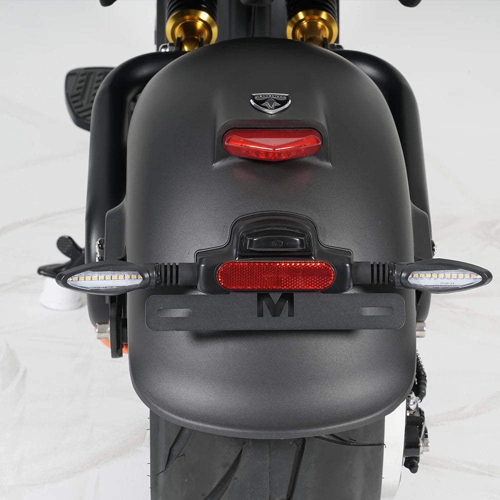 Mangosteen Electric Motorcycle Citycoco Scooter M8S