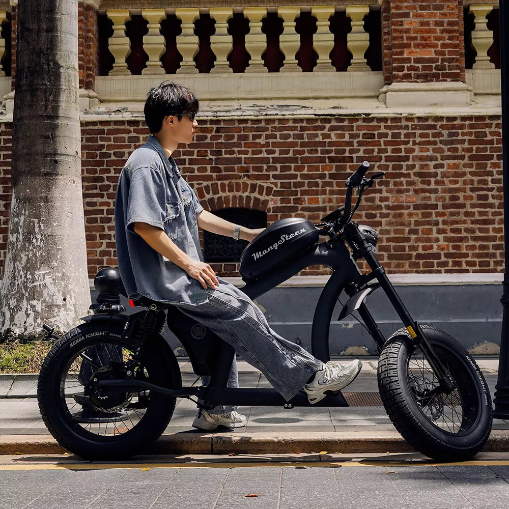 Mangosteen FT02 EEC Chopper Bike