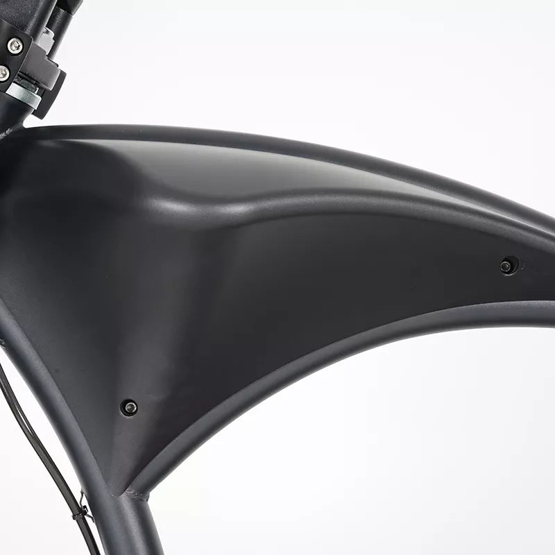 Mangosteen M1P Citycoco Electric Bike Scooter (New upgraded model)