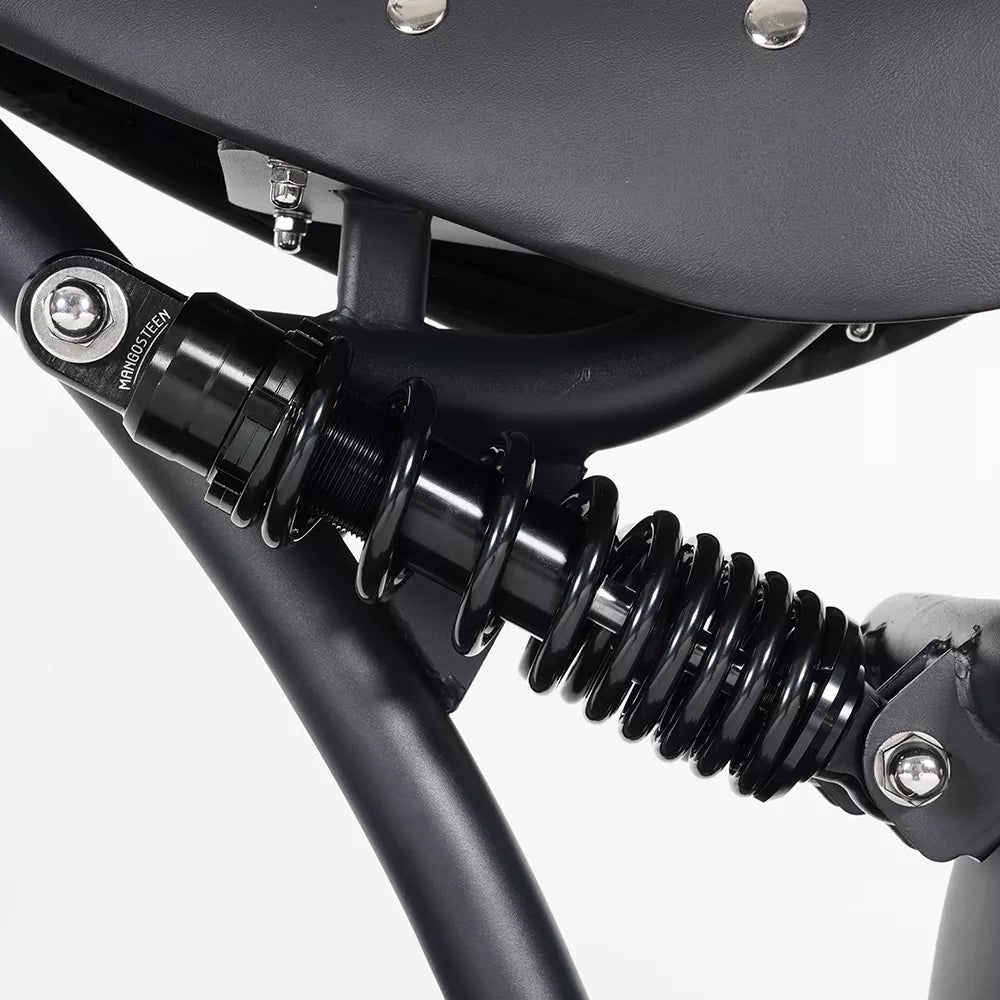 Mangosteen M1P Citycoco Electric Bike Scooter (New upgraded model)