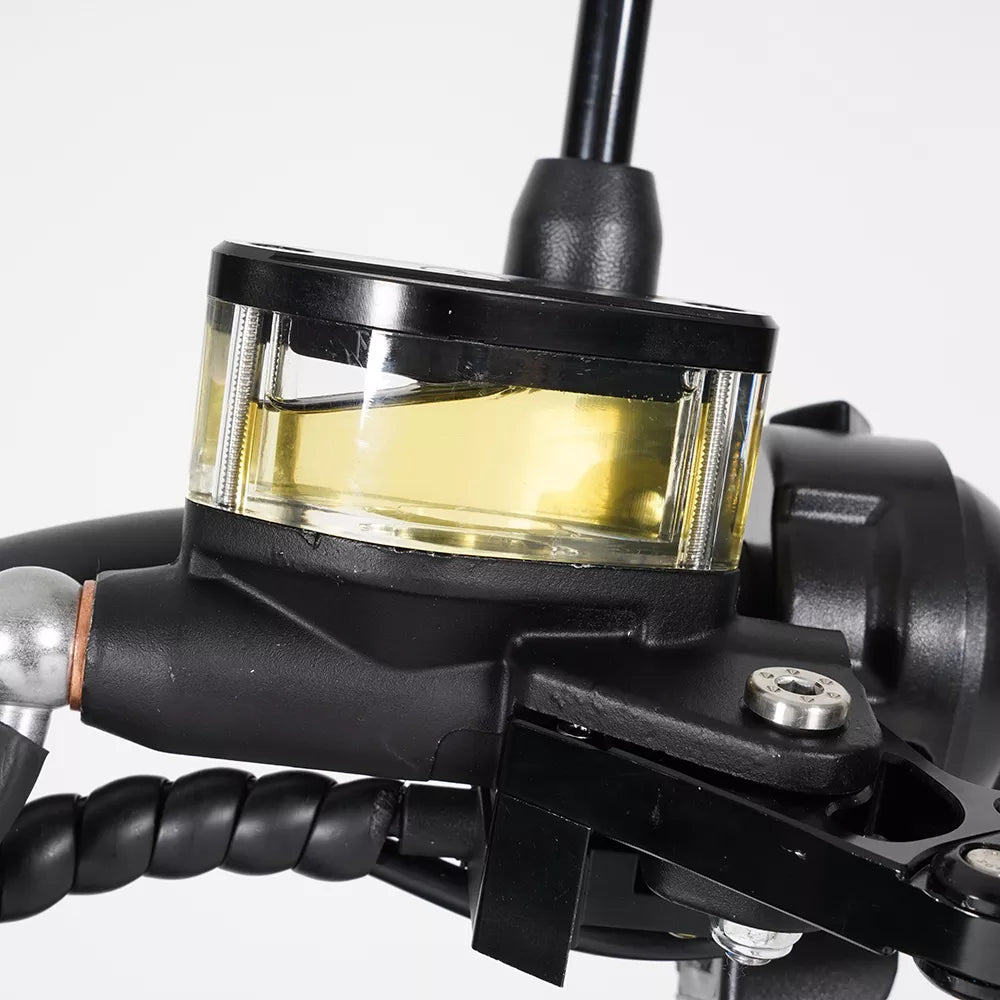 Mangosteen M1P Electric Scooter-Upgraded