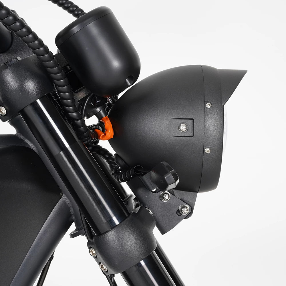 Mangosteen M1P Citycoco Electric Bike Scooter (New upgraded model)