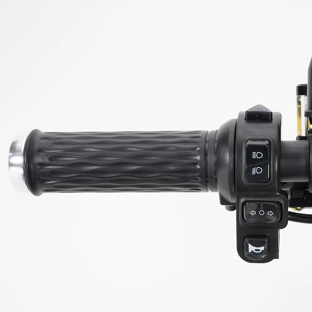 Mangosteen M1P Electric Scooter-Upgraded