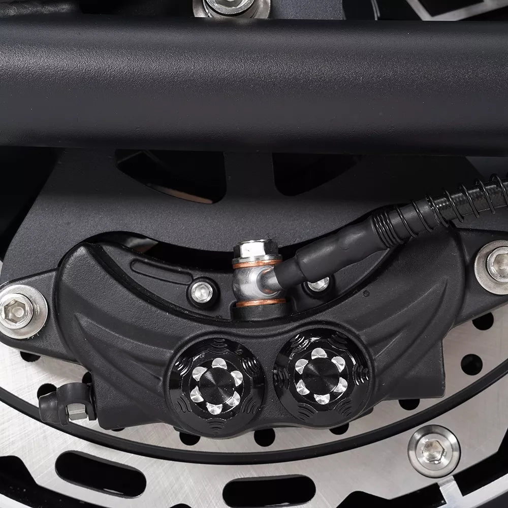 Mangosteen M1P Electric Scooter-Upgraded