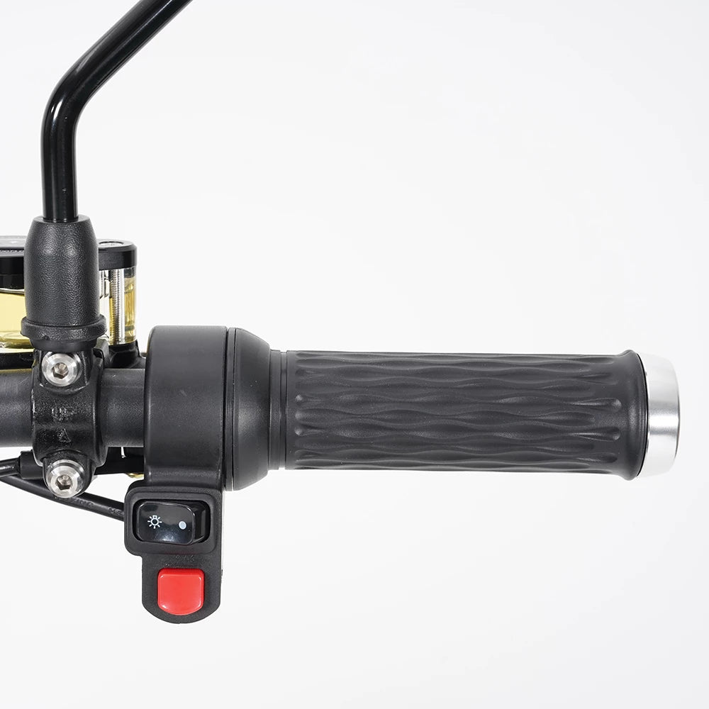 Mangosteen M1P Electric Scooter-Upgraded