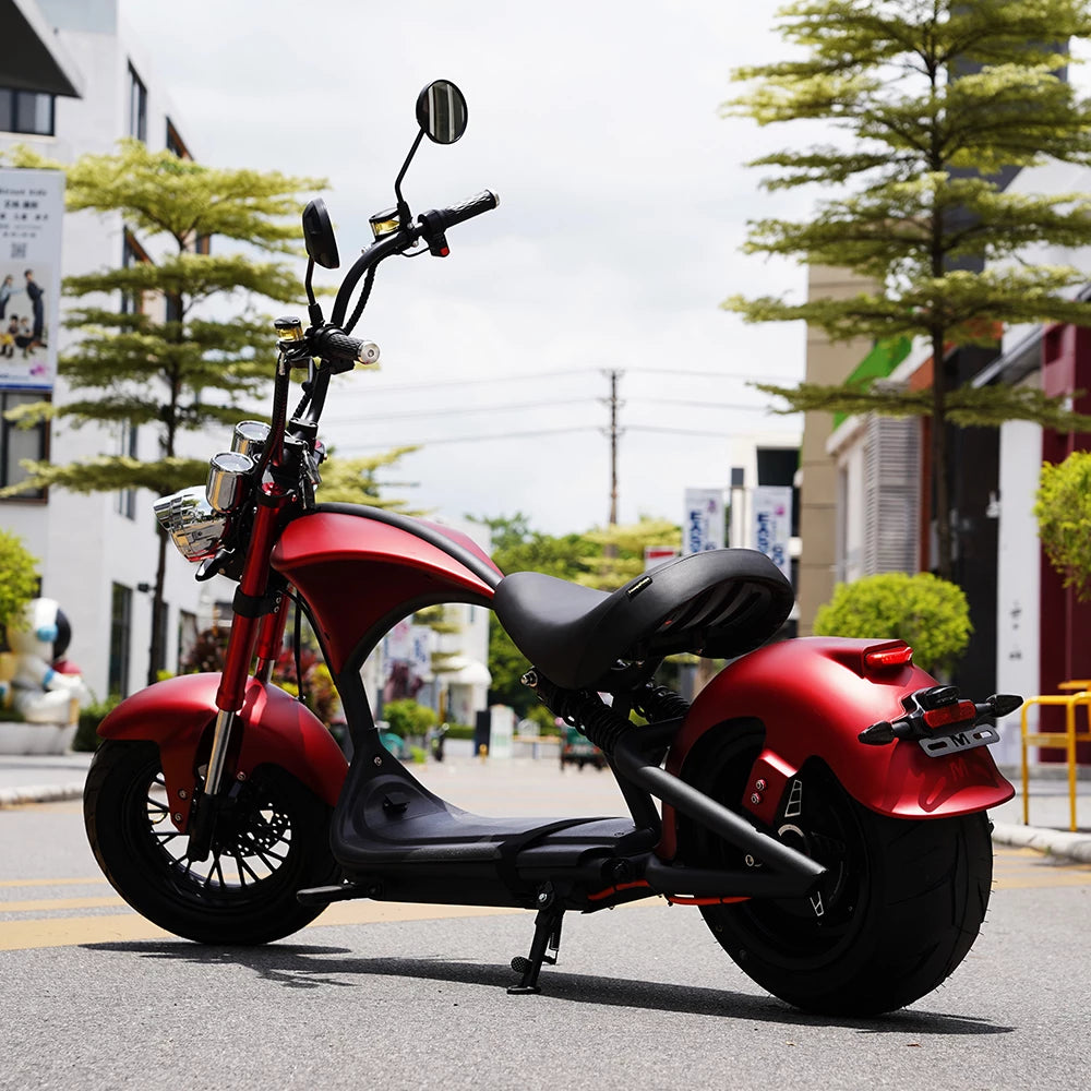 Mangosteen M1P Citycoco Electric Bike Scooter