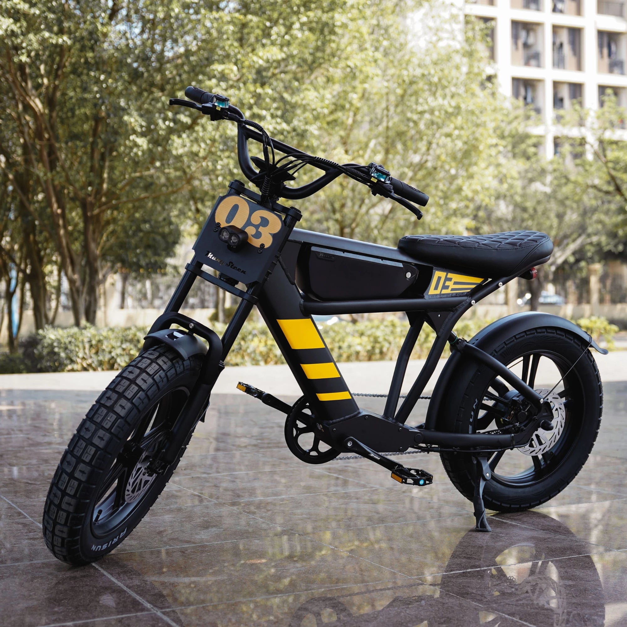 Mangosteen FT03 Electric Bike for Adult