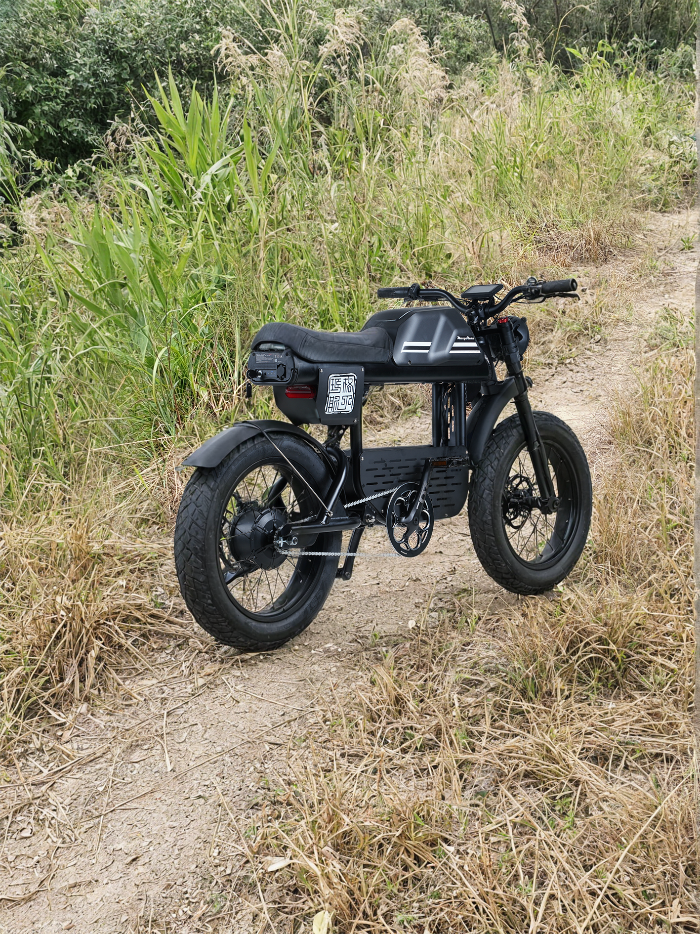 Mangosteen FT01 Electric Chopper Bike(45 days delivery)