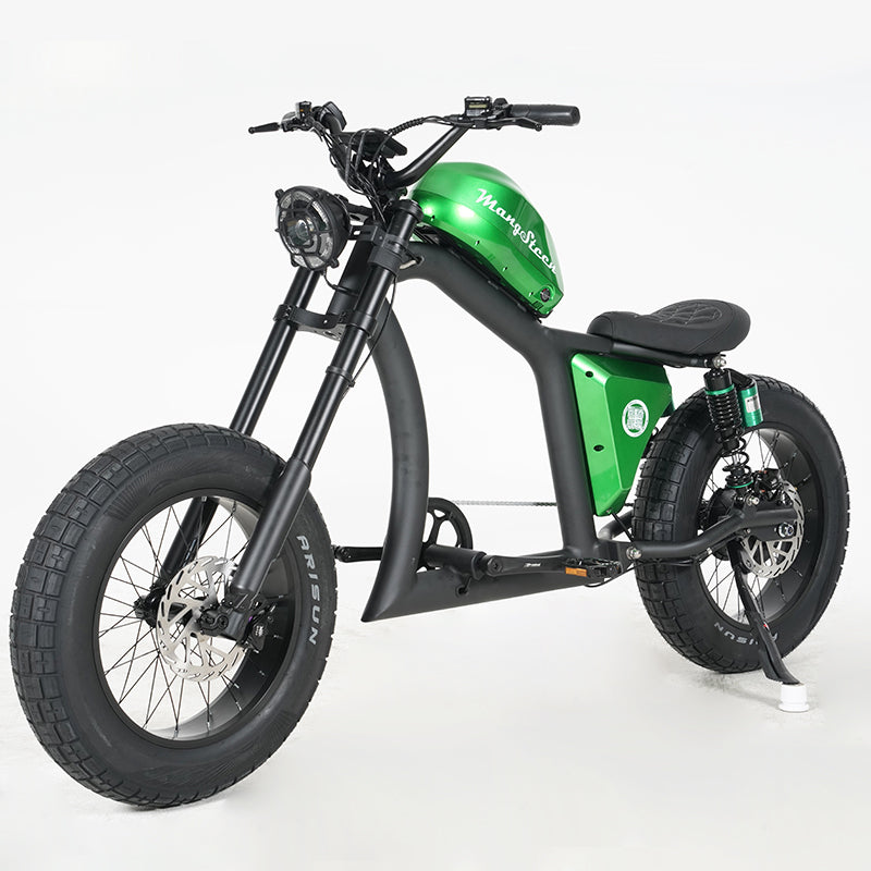Mangosteen Chopper Electric Bike FT02 Ebike Best for You