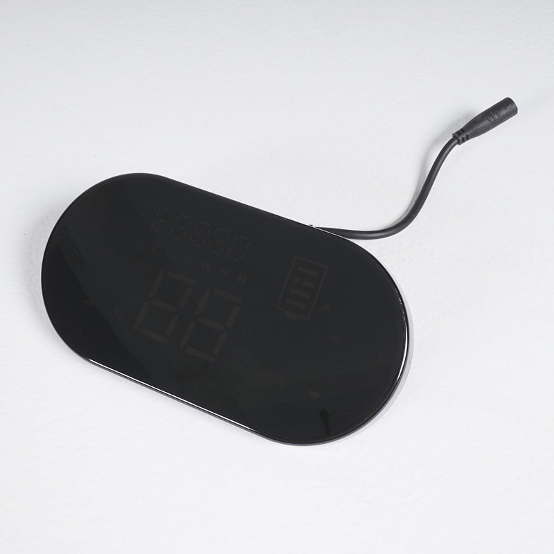 Mangosteen Citycoco Displays Speedometer for M2 M8 (custom)