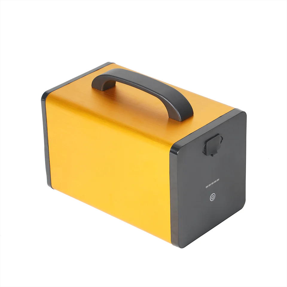 Remplacement de la batterie du scooter électrique Mangosteen (standard)