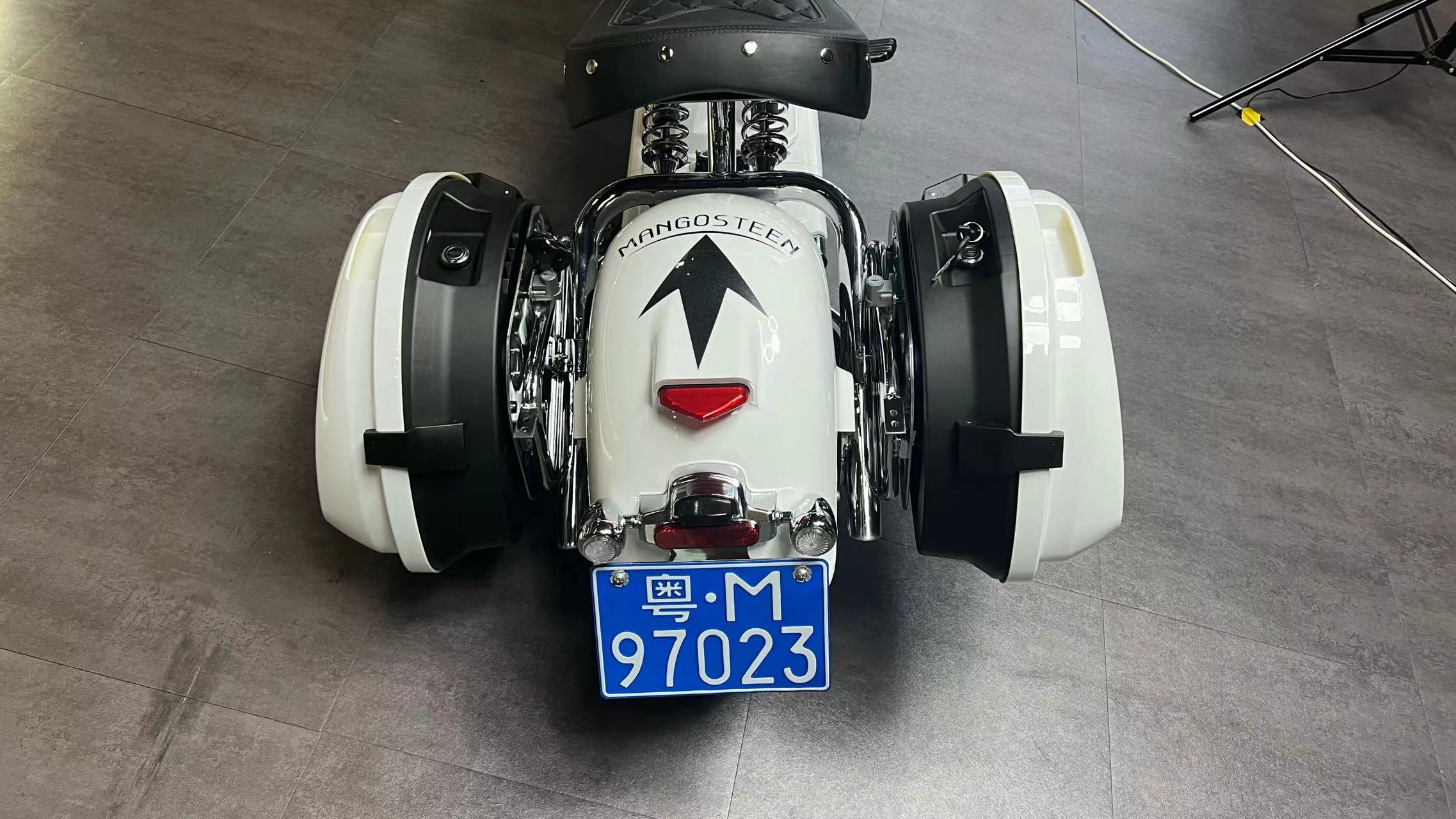 Mangosteen Scooter Side Boxes (custom)