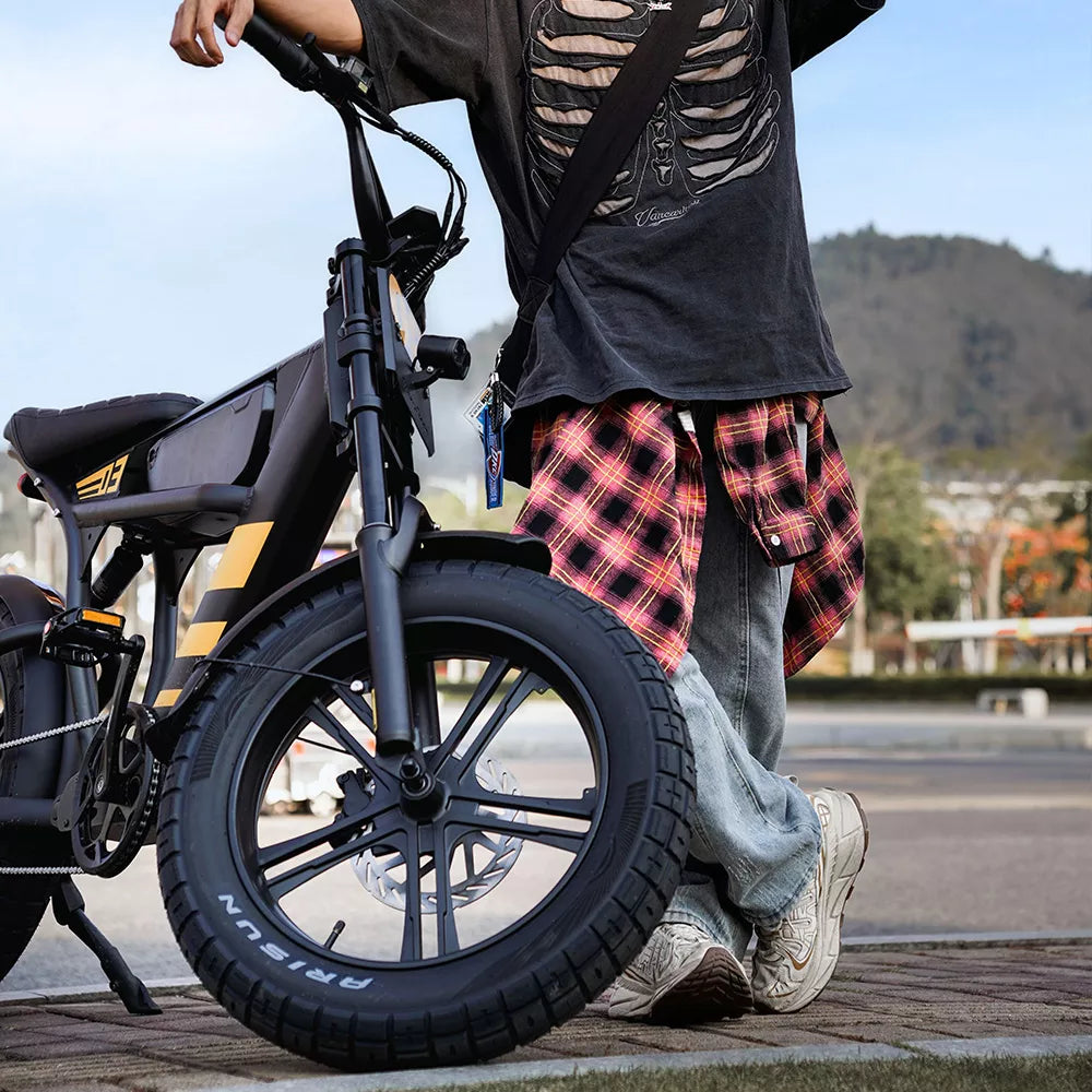 Mangosteen FT03 Elektrofahrrad für Erwachsene