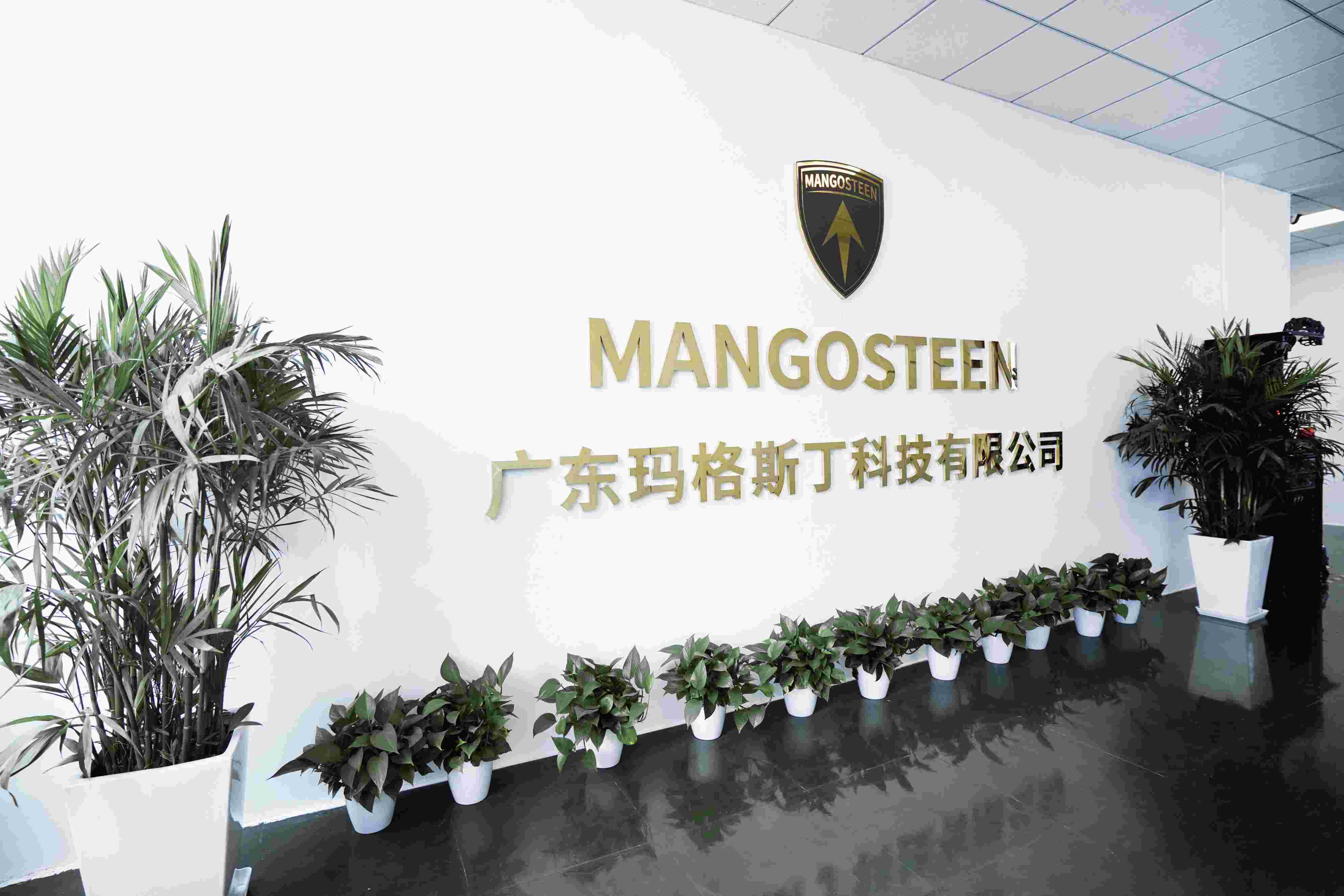 Mangosteen Scooter