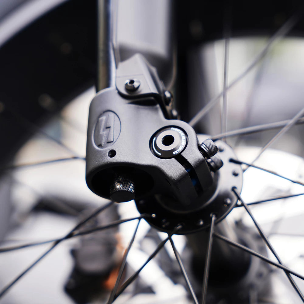 Mangosteen FT02 EEC Chopper – Rower elektryczny