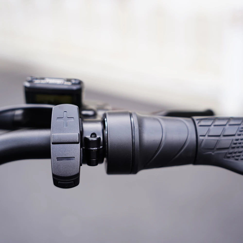 Mangosteen FT02 EEC Chopper – Rower elektryczny