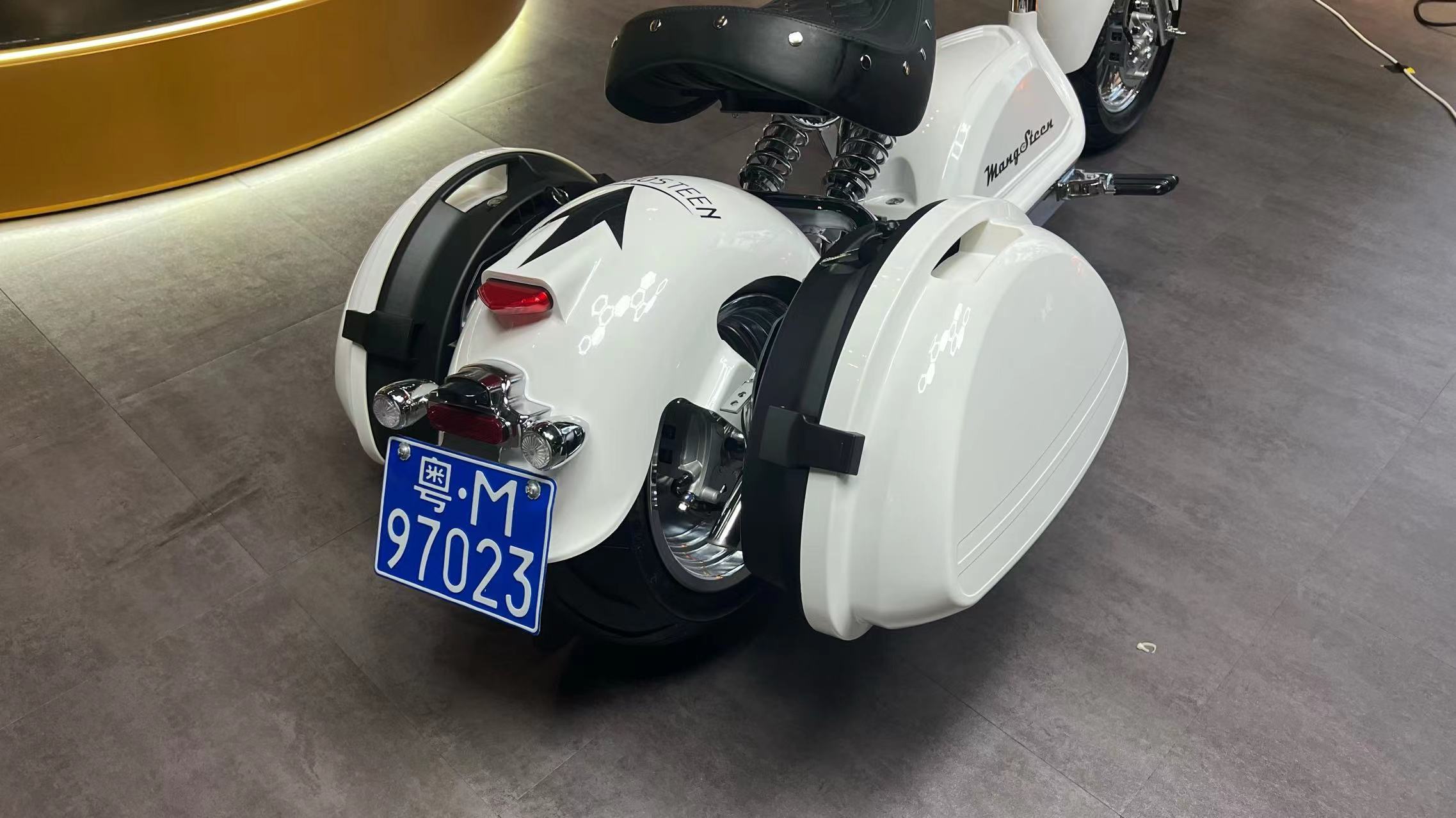 Mangosteen Scooter Side Boxes (custom)