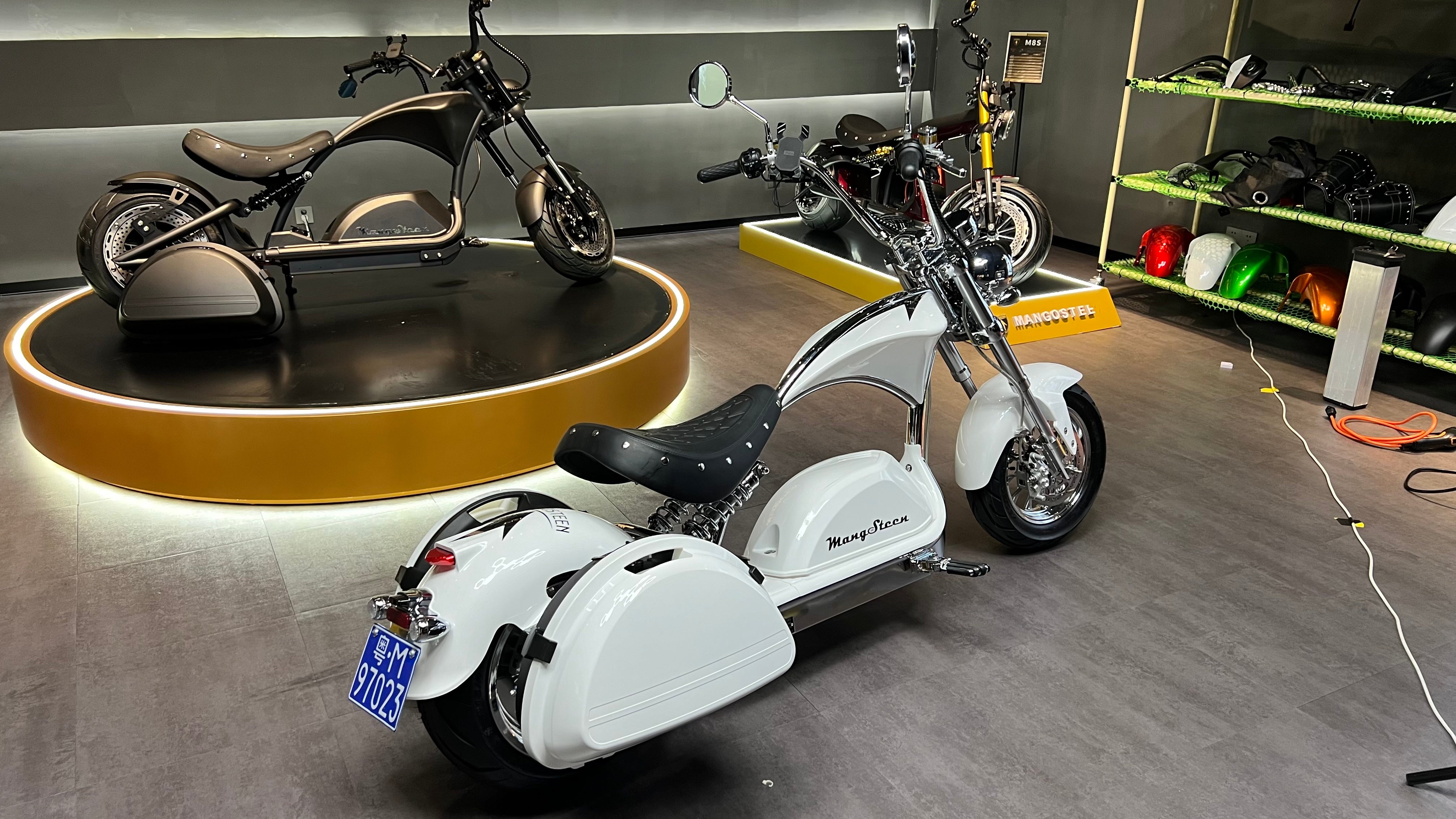 Mangosteen Scooter Side Boxes (custom)