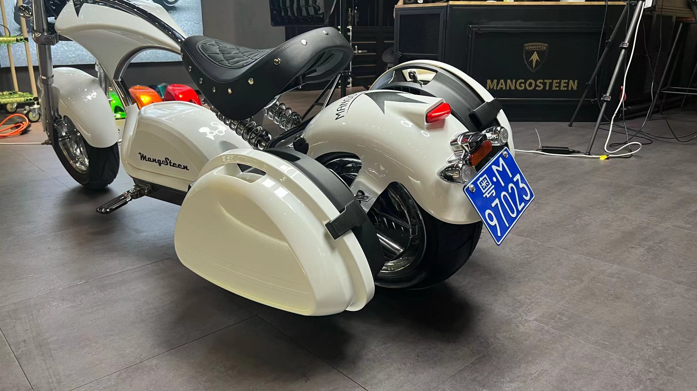 Mangosteen Scooter Side Boxes (custom)