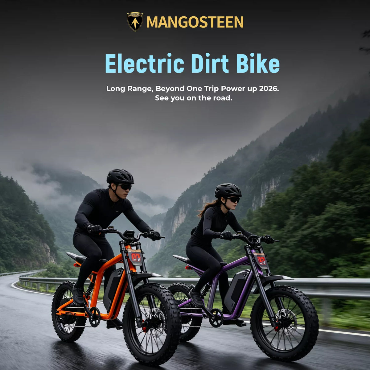 Mangosteen FT07 Electric Dirt Bike