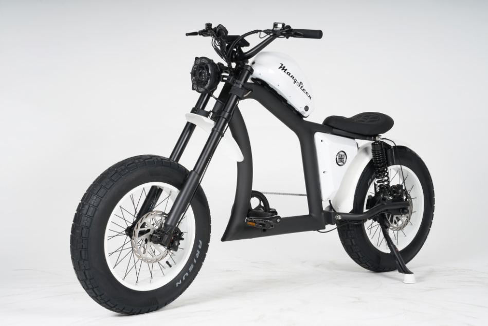 Mangosteen Chopper Electric Bike FT02 Ebike Best for You