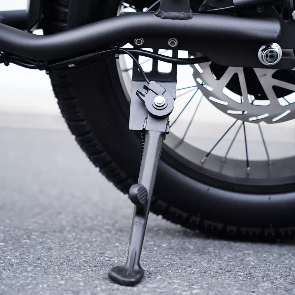 Mangostan FT02 EEC-Chopper-Bike
