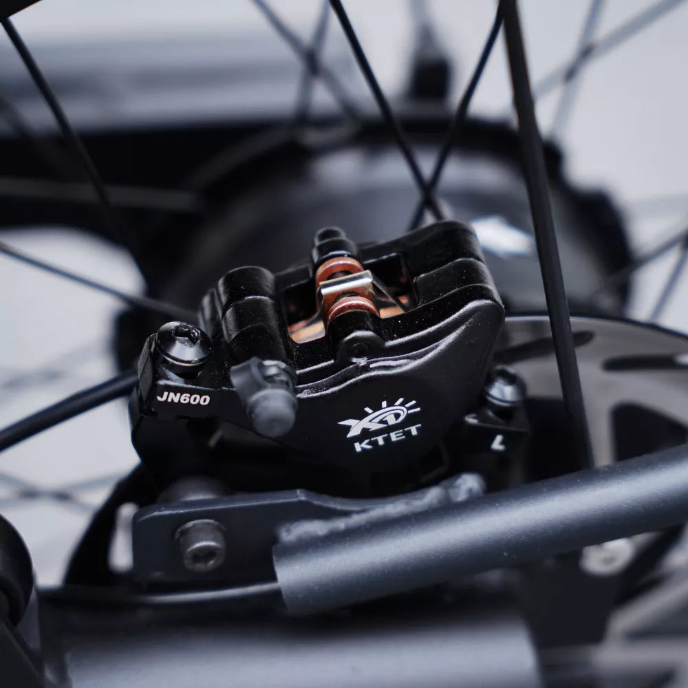 Mangostan FT02 EEC-Chopper-Bike